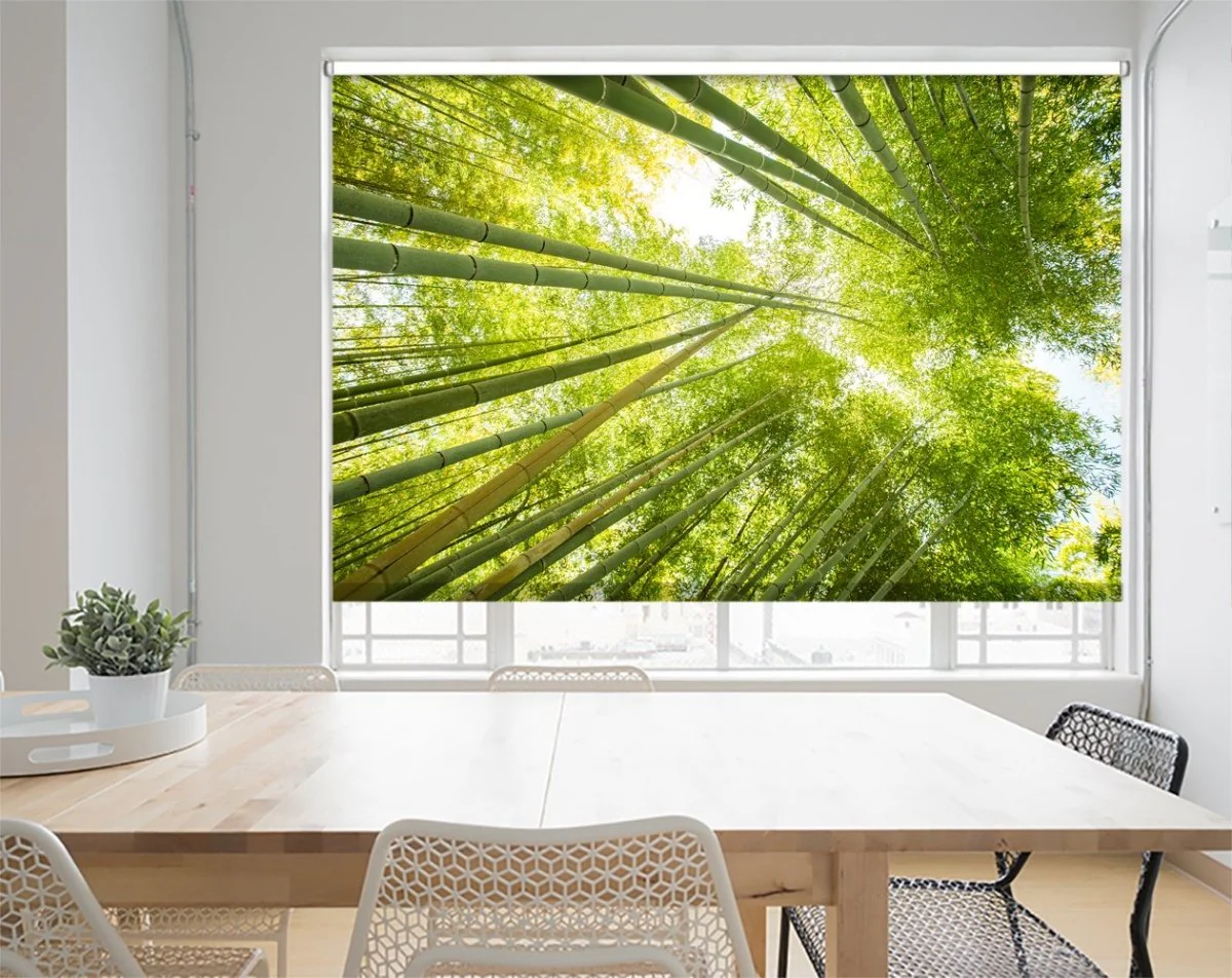 Custom light-filtering roller blinds Calgary living room
